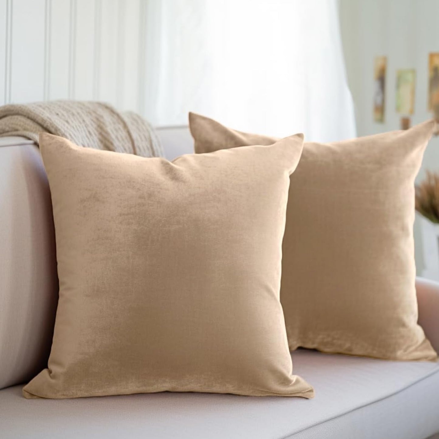 LANE LINEN Throw Pillow Inserts – Pack of 2 – 18x18 Inch Beige Velvet Cushion Inserts for Couch, Bed & Living Room Decor on couch