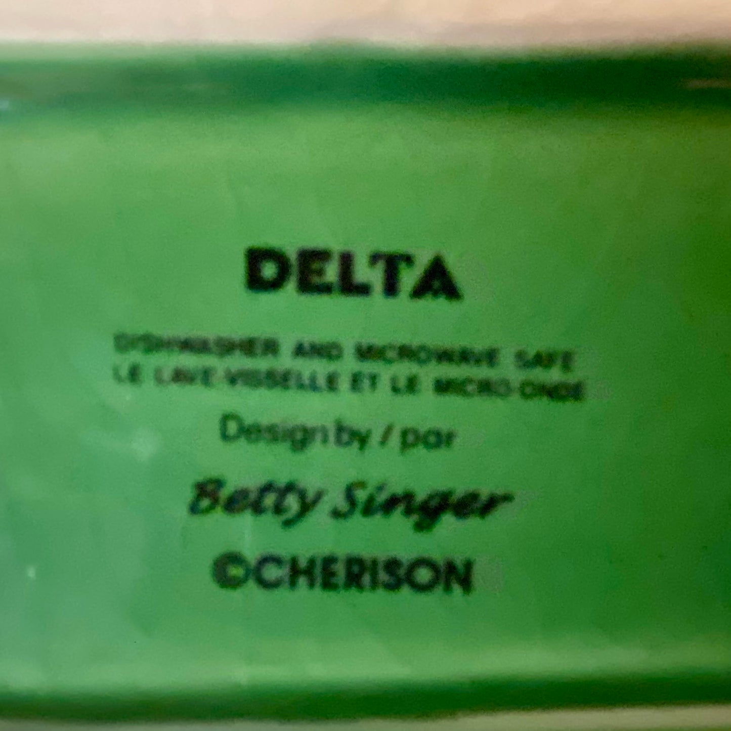 DELTA designed by Betty Singer/Cherison Oblong Green Leaf Print Ceramic Platter