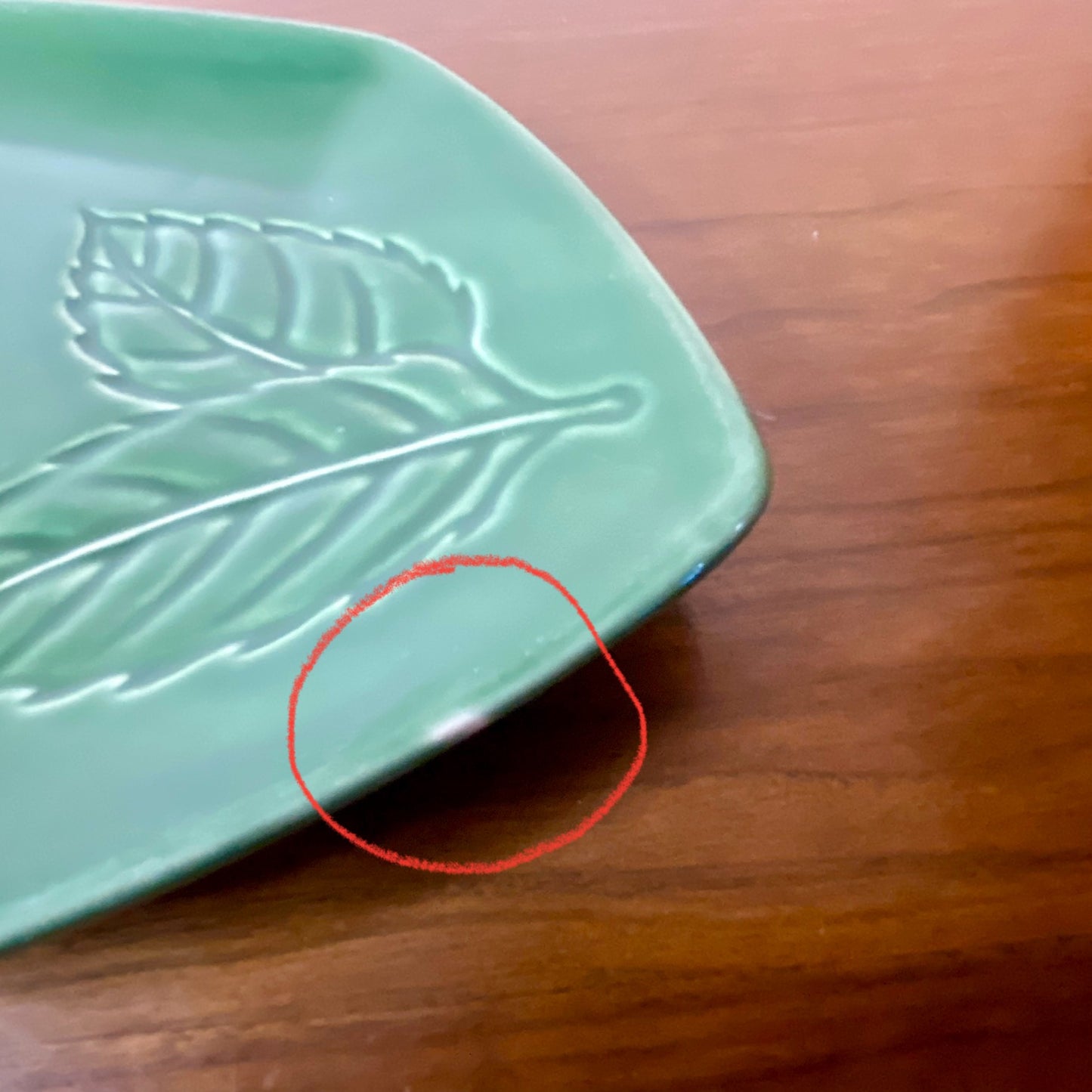 DELTA designed by Betty Singer/Cherison Oblong Green Leaf Print Ceramic Platter
