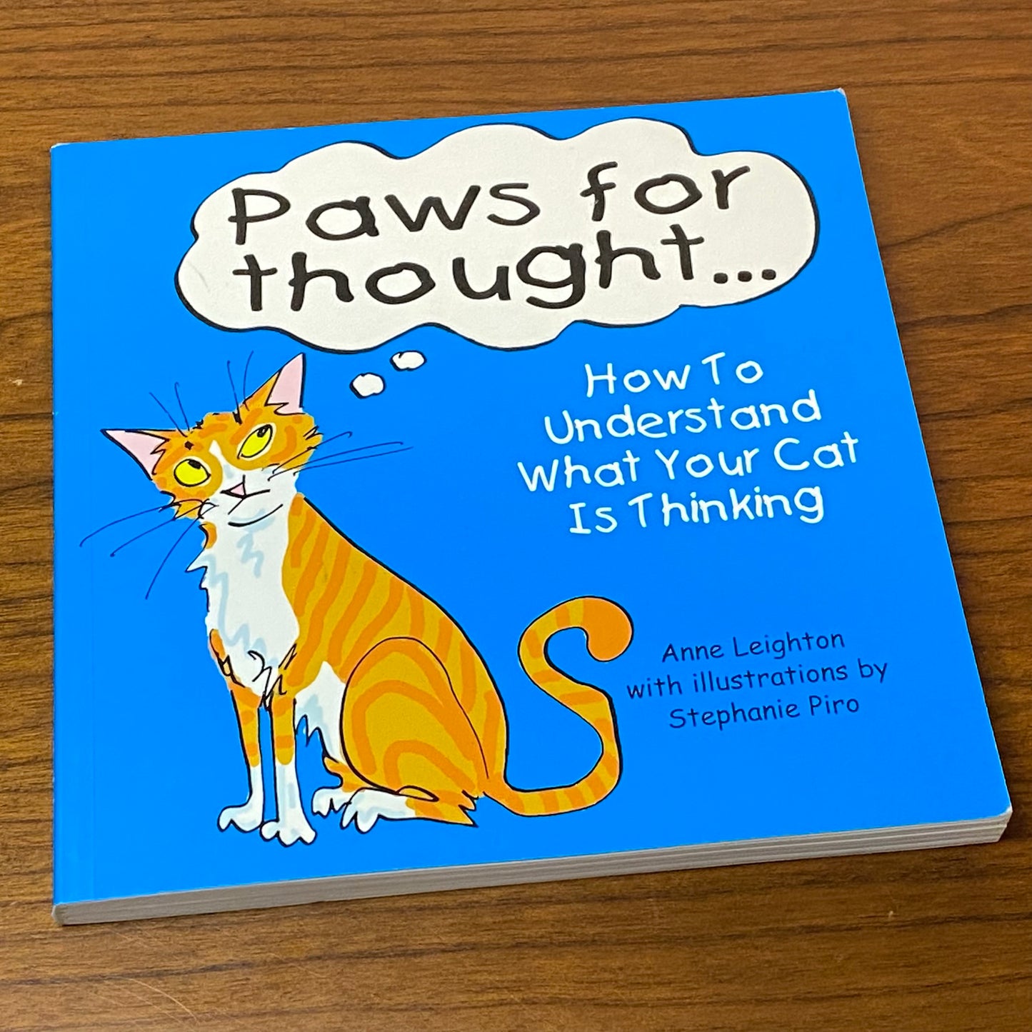 Paws For Thought How To Understand What Your Cat Is Thinking Book
