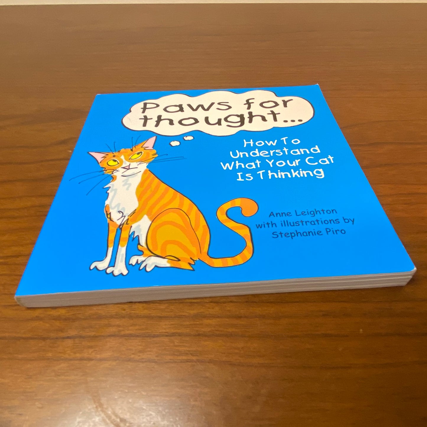 Paws For Thought How To Understand What Your Cat Is Thinking Book