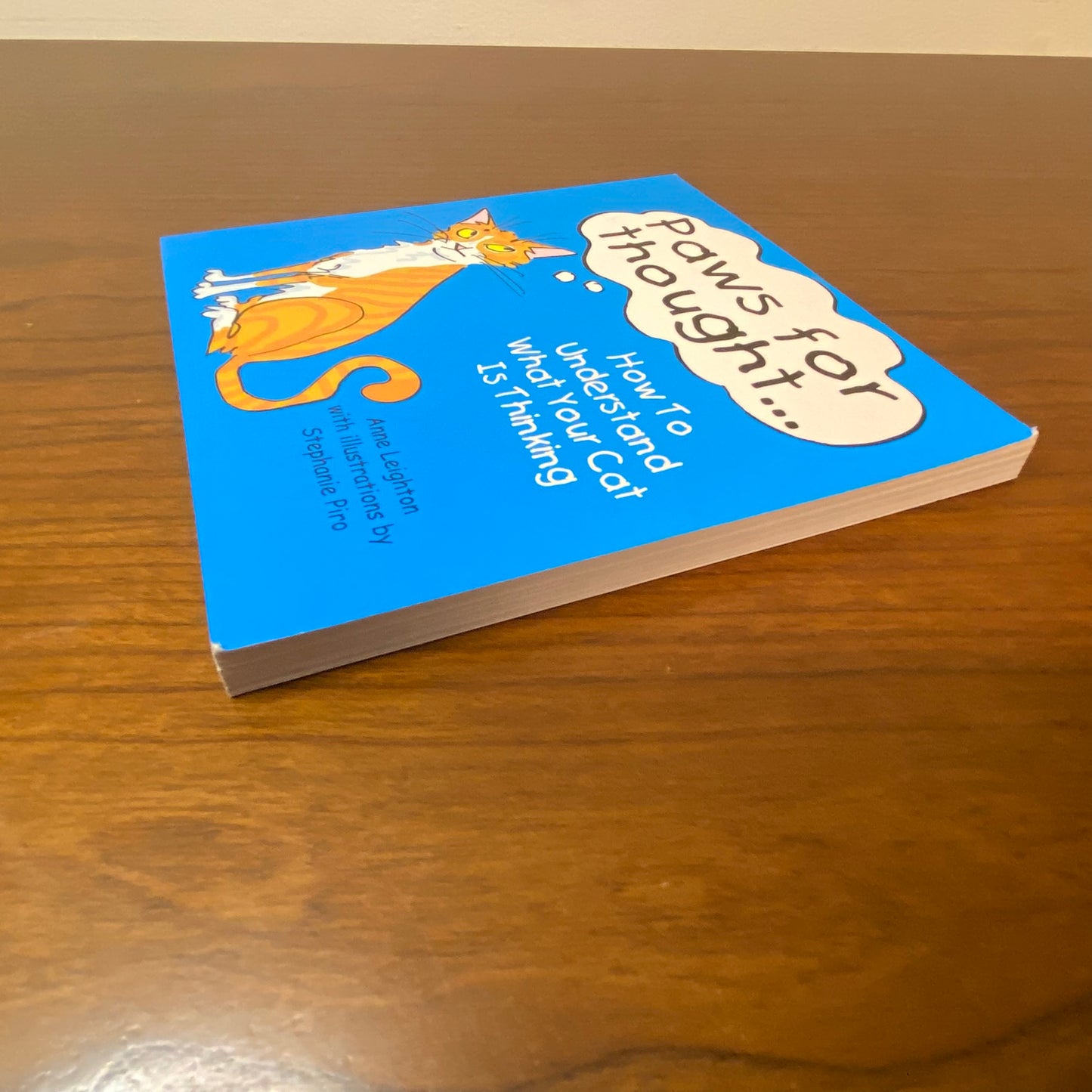 Paws For Thought How To Understand What Your Cat Is Thinking Book