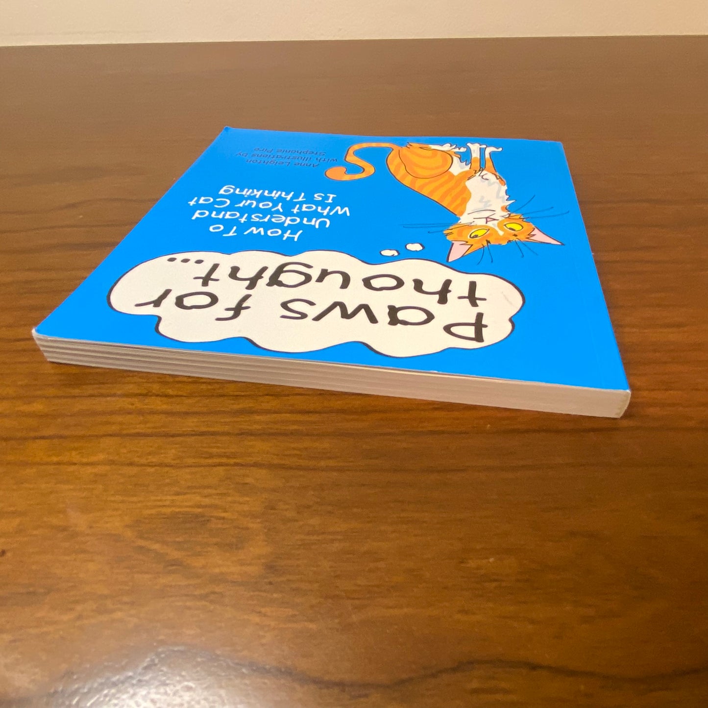 Paws For Thought How To Understand What Your Cat Is Thinking Book