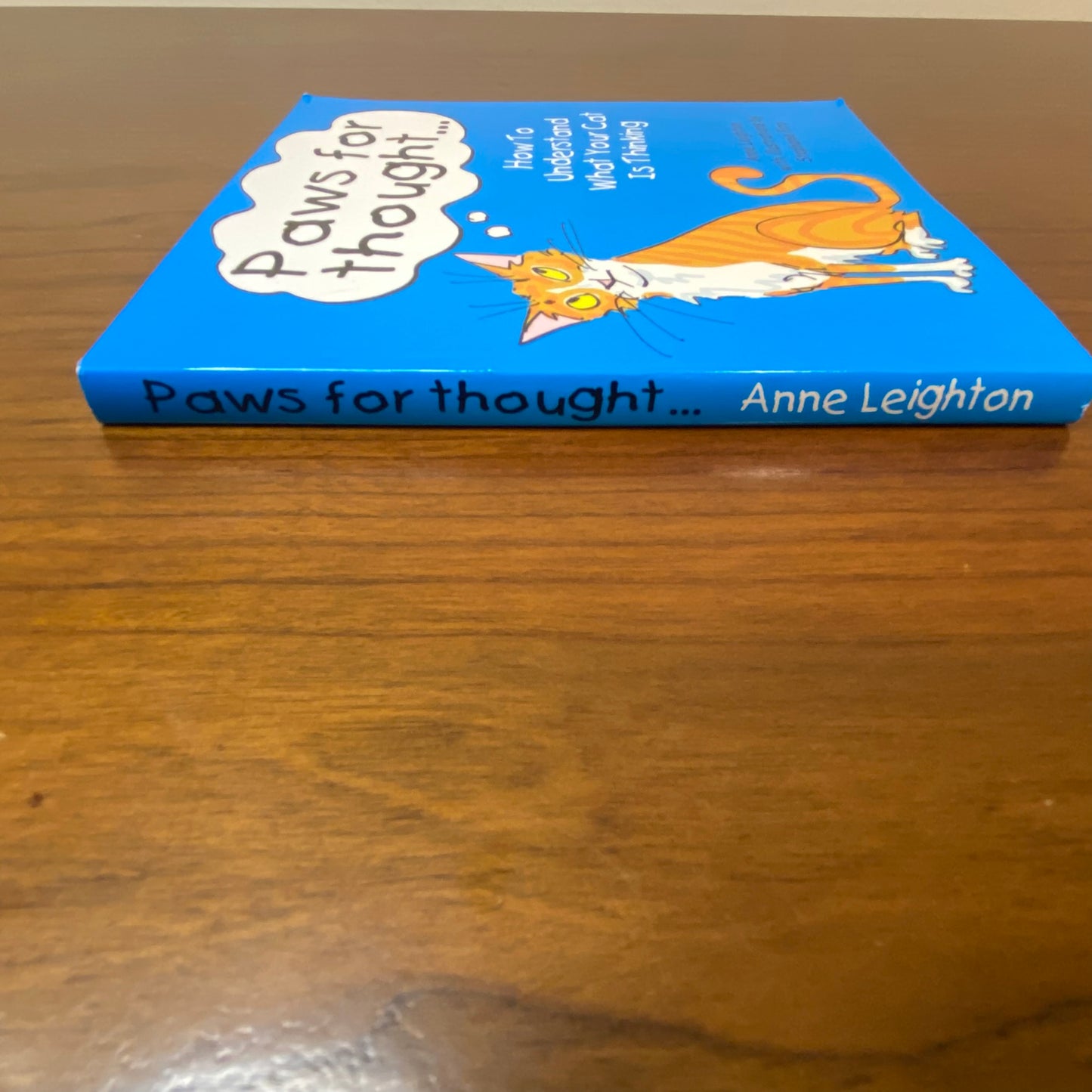 Paws For Thought How To Understand What Your Cat Is Thinking Book