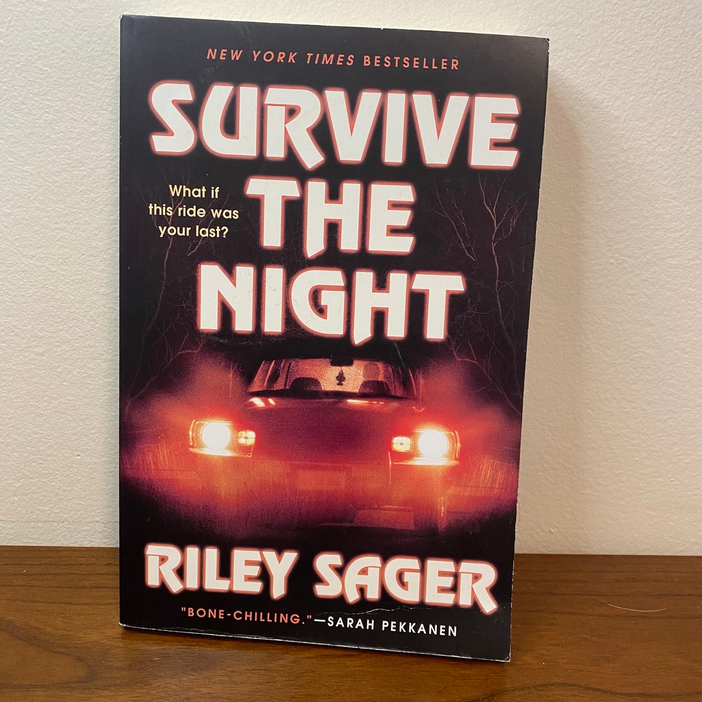 Survive The Night by Riley Sager