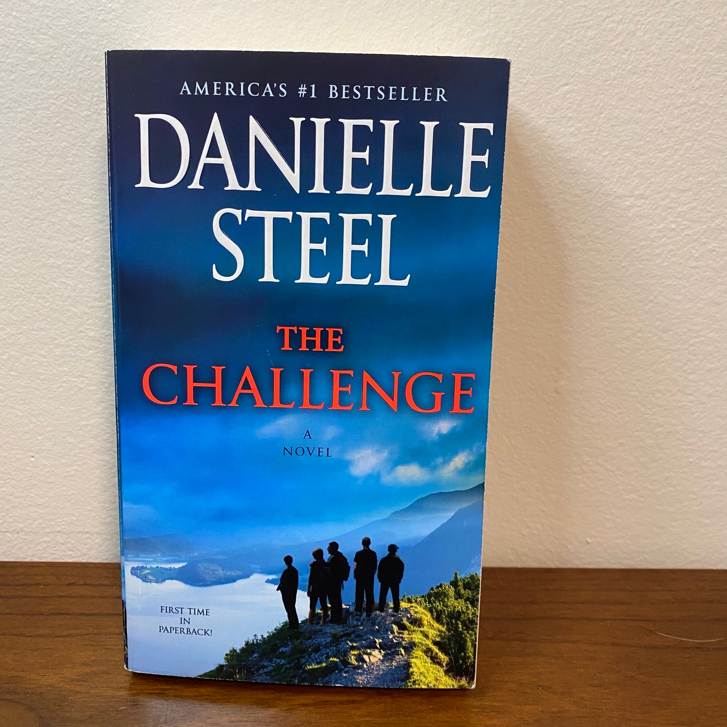 The Challenge by Danielle Steel