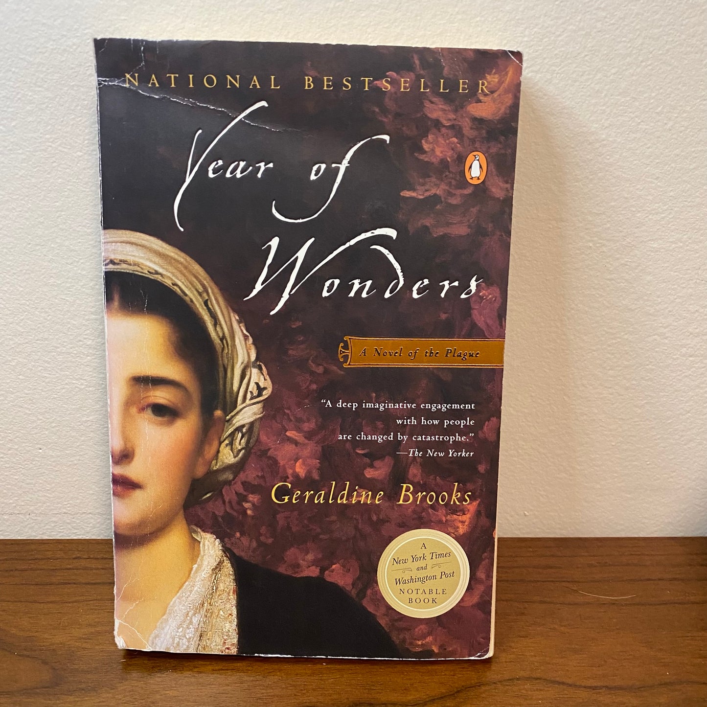Year Of Wonders by Geraldine Brooks
