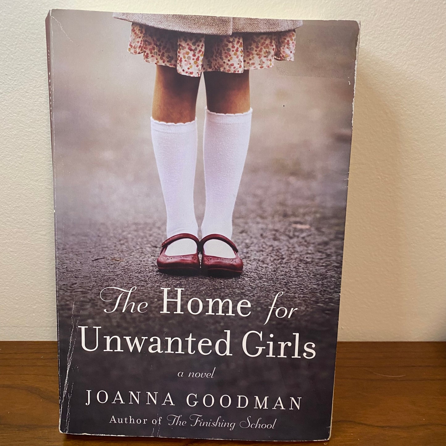 The Home For Unwanted Girls by Joanna Goodman