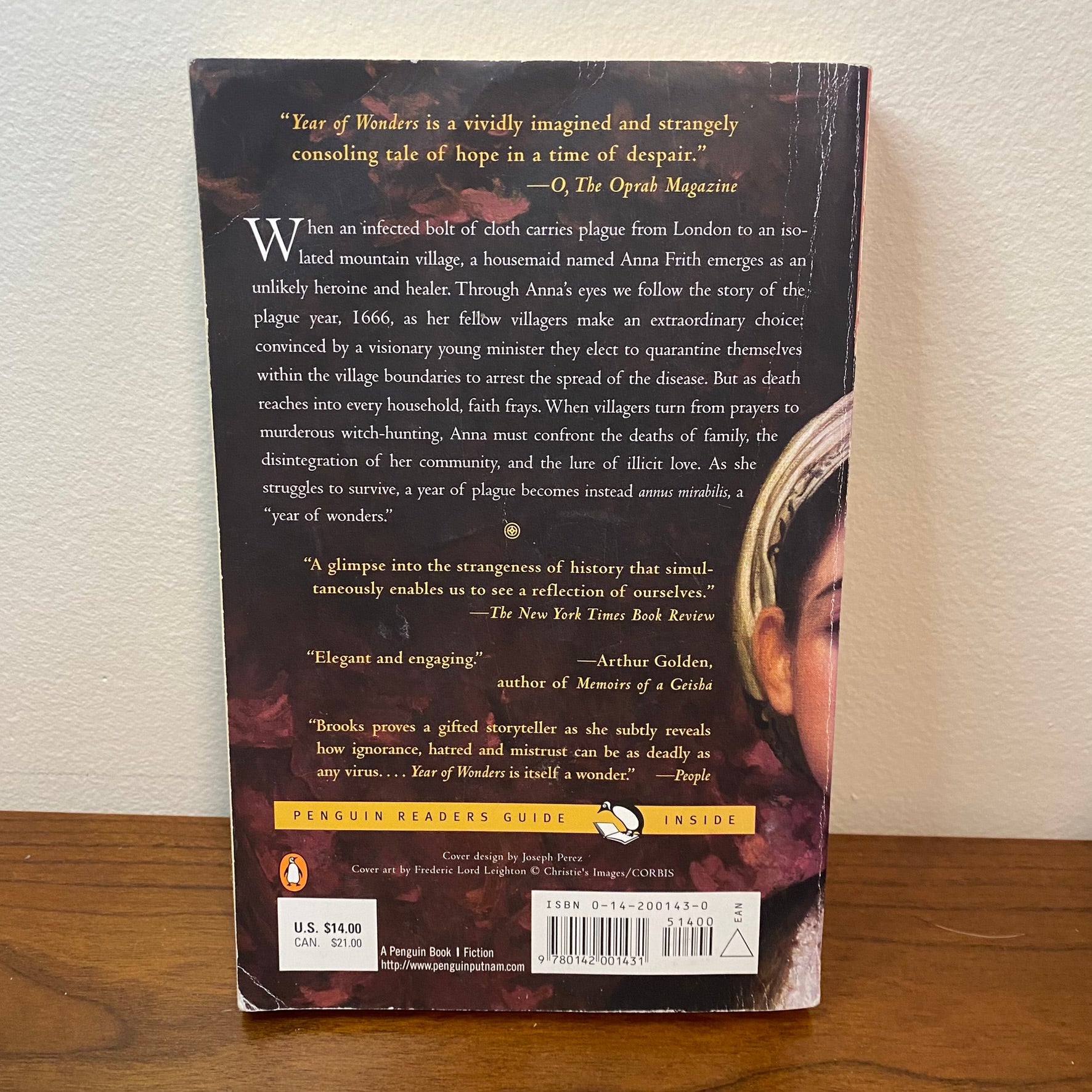 Year Of Wonders by Geraldine Brooks